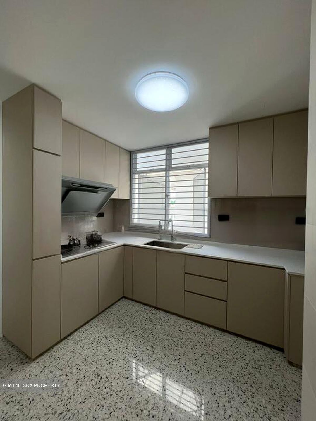 Grand Regency (D21), Apartment #462855701